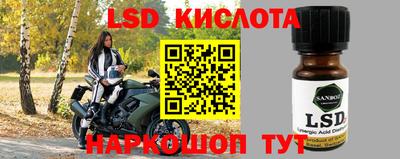 СК Рязань