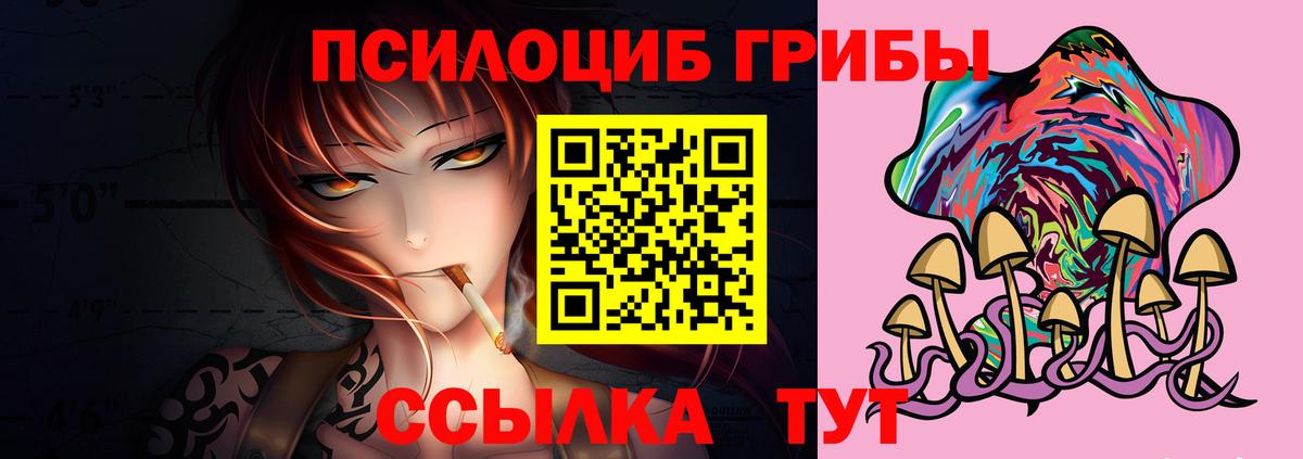 Псилоцибиновые грибы Psilocybe  Вход с VPN  Орехово-Зуево 